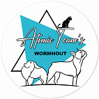 Atomic Team's