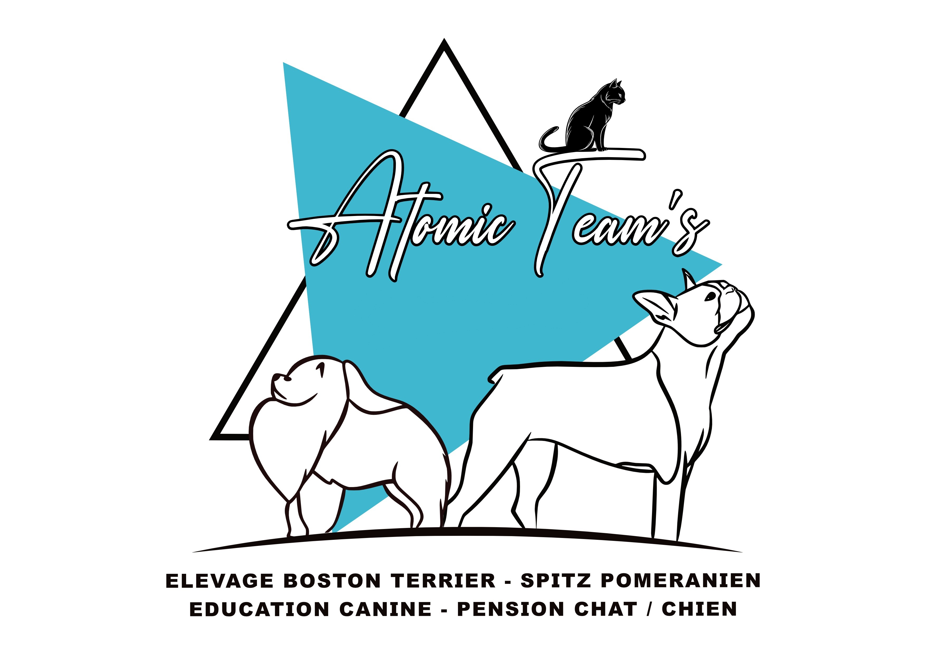 Atomic Team's